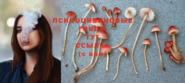 соль ск Михайловск
