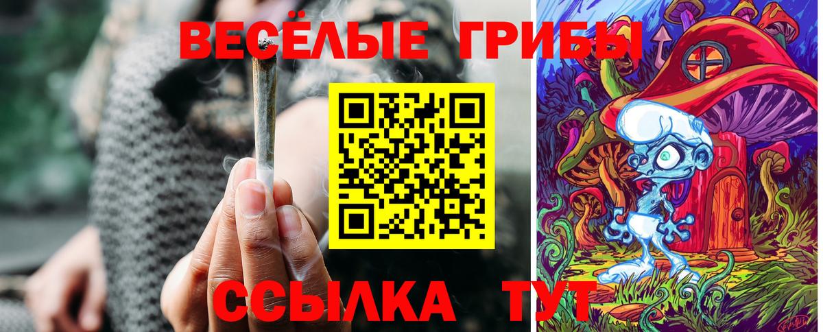 Псилоцибиновые грибы Psilocybine cubensis  Вход с VPN  Галлюциногенные грибы GOLDEN TEACHER  Россия 