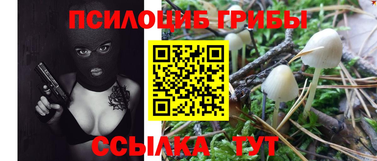 Псилоцибиновые грибы прущие грибы Россия