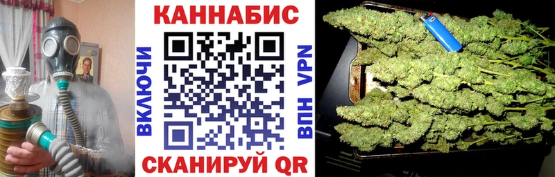 Каннабис OG Kush  Казань 